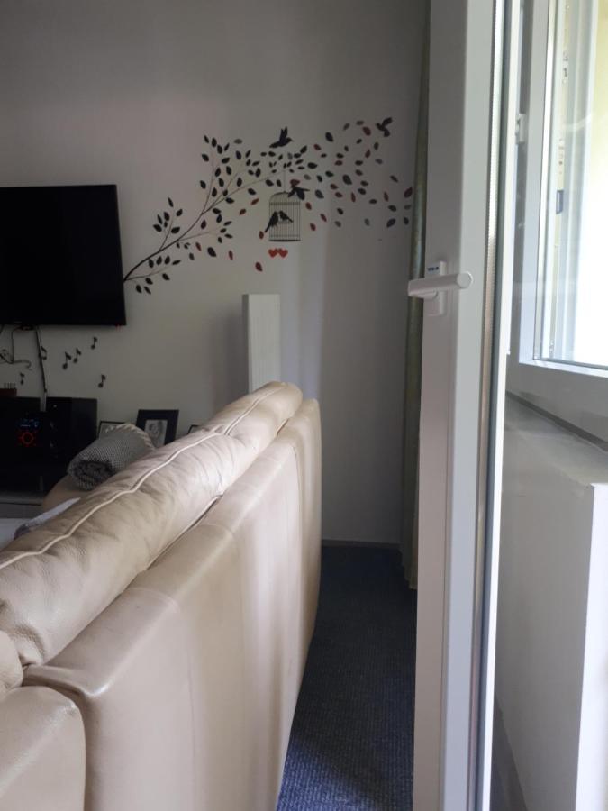 Apartment Iggory بولا المظهر الخارجي الصورة